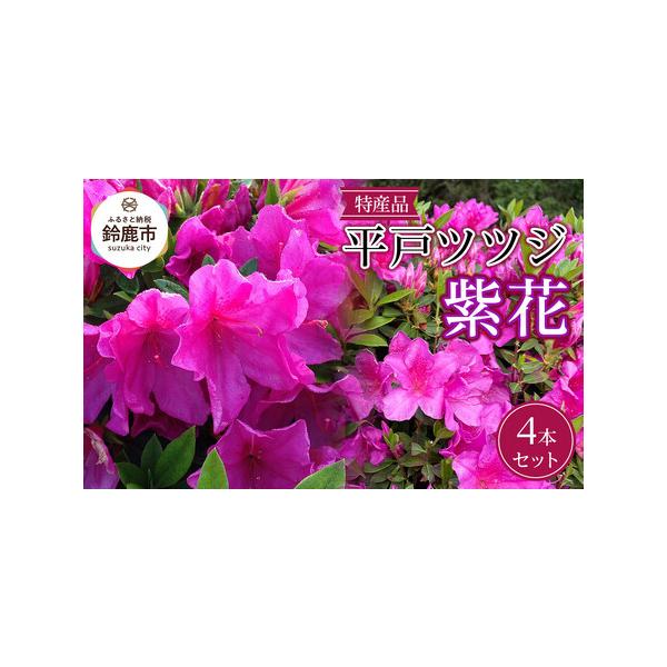 ■ 容量　■お礼品の内容について　・平戸ツツジ　紫花[4本]　原産地:三重県鈴鹿市/製造地:三重県鈴鹿市/加工地:三重県鈴鹿市　■注意事項/その他　通年の生産品目で、季節により木の大きさや葉の色合いには相違があります。画像は参考のイメージで...