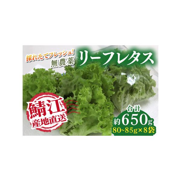 ■ 容量　【内容】　レタス 650ｇ程度(80〜85ｇ×8袋)　　【賞味期限】　発送より7日以内（要冷蔵）　　【注意事項】　レタスの個体差があるため外観、数量に違いがあります。　切り口が時間とともに変色することがあります。　　【キーワード】...
