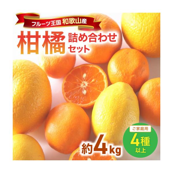 ふるさと納税 みかん 柑橘詰め合わせセット 家庭用4種以上 約4kg