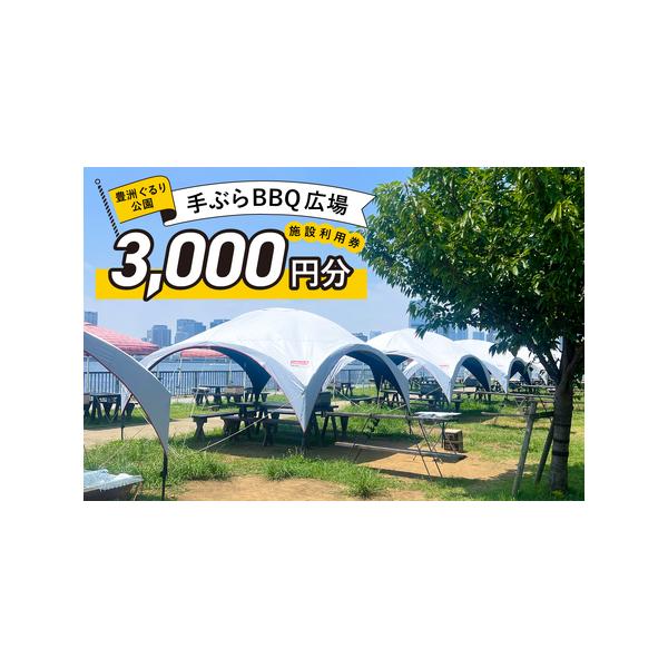 ふるさと納税 BBQ場施設使用券(電子クーポン券3,000円分) 【kt066-001】チケット 東京都江東区
