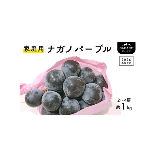 ■ 容量　【先行予約】2026年発送　【家庭用】約1kg（2〜4房）　※大きさで房数は異なります。房数の指定はお受けできません。■ 配送について　配送業者：ヤマト運輸　　※その年の気候により配送時期に変動がございます。　※発送期日をご確認の...