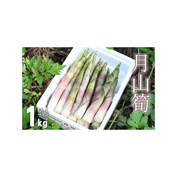 ■ 容量　月山筍 M〜Lサイズ 1kg　　【提供事業者】庄内たがわ農業協同組合　　【賞味期限】　生鮮食品ですので、お早めにお召し上がりください。　■ 配送について　【申込期日】　令和8年5月9日までご入金下さい。　　【発送期日】　令和8年5...