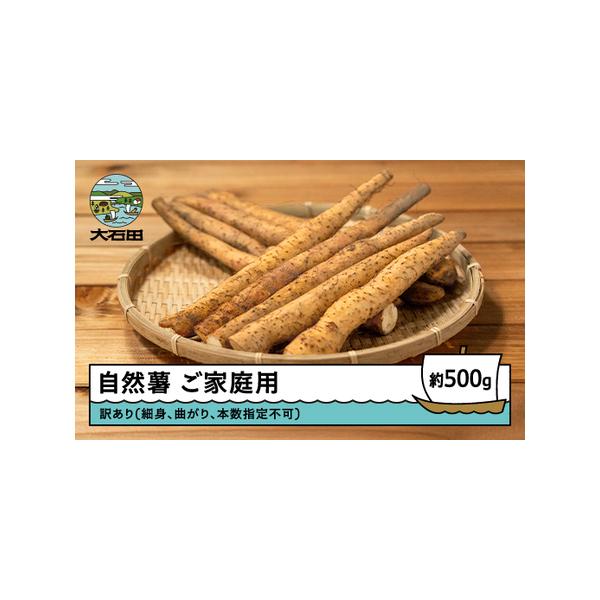 ■ 容量　約500g■ 配送について　ご入金確認後、2週間程度で発送となります。　※夏季期間および、発送エリアに応じてクール便で発送いたします。　タイプ：【常温】【冷蔵】