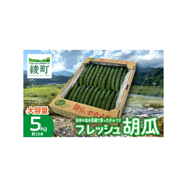 ■ 容量　胡瓜 5kg　　【賞味期限】　お受取り後、なるべくお早目にお召し上がりください　　【アレルギー】　特定原材料8品目および特定原材料に準ずるもの20品目は使用していません■ 配送について　2025年11月中旬頃から発送予定　※天候に...
