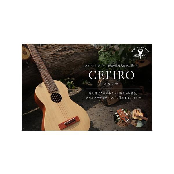 ■ 容量　1台(ソフトケース付き)　スケール：570mm■ 配送について　ご入金確認後、お届けまでに2ヶ月程度お時間をいただきます。