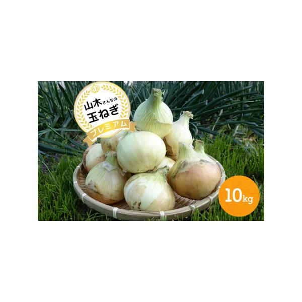 ■ 容量　淡路島産新たまねぎ 10kg（洲本市産）　■ 配送について　2026年4月上旬~5月末まで　　タイプ：【常温】