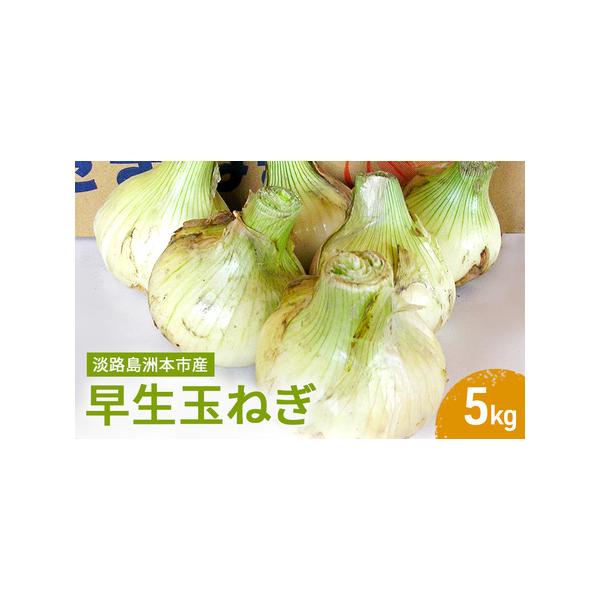 ■ 容量　淡路島洲本市産の早生玉ねぎ5kg　■ 配送について　2026年4月中旬〜2026年6月中旬　　タイプ：【常温】