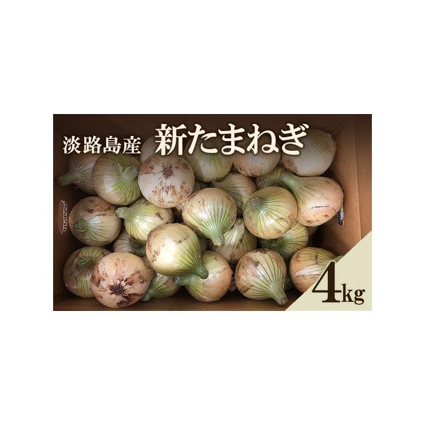 ■ 容量　淡路島産 新たまねぎ　4kg　生産地：洲本市　　■ 配送について　2026年3月上旬〜2026年5月末　　タイプ：【常温】