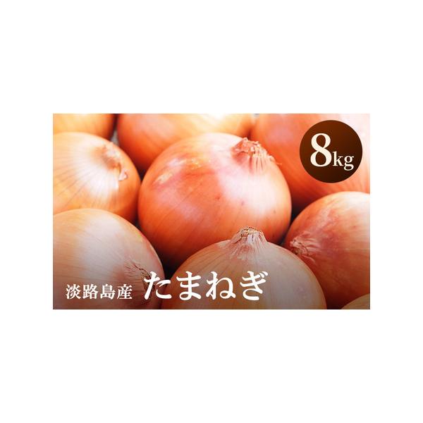 ■ 容量　淡路島産 たまねぎ　8kg　生産地：洲本市　　■ 配送について　2026年5月中旬〜2026年11月末　　タイプ：【常温】