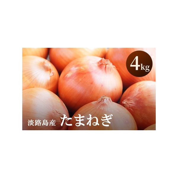 ■ 容量　淡路島産 たまねぎ　4kg　生産地：洲本市　■ 配送について　2026年5月中旬〜2026年11月末　　タイプ：【常温】
