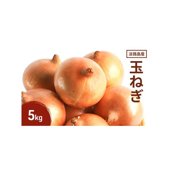 ■ 容量　淡路島産玉ねぎ 5kg　　タイプ：【常温】