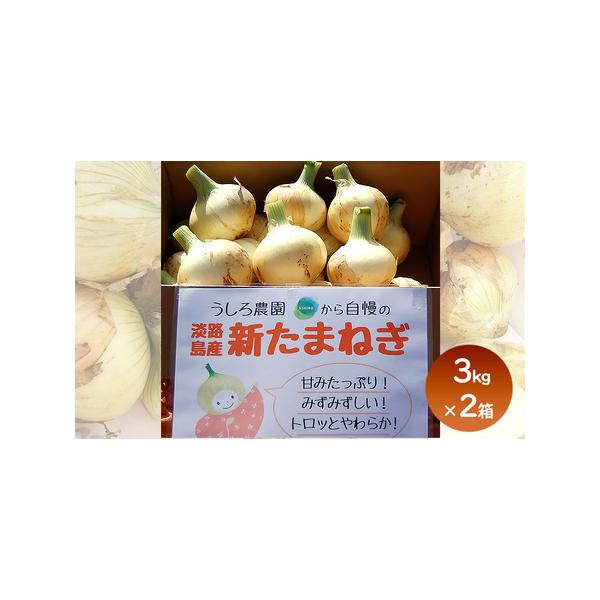 ■ 容量　内容量：3kg×2箱（サイズ混合 M〜2L、18〜40玉）　原産地：兵庫県洲本市五色町　■ 配送について　12月1日〜4月15日　　タイプ：【常温】