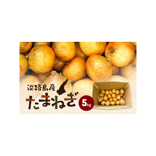 ■ 容量　淡路島産たまねぎ5kg　■ 配送について　2026年3月上旬〜2026年6月下旬　　タイプ：【常温】