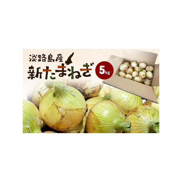 ■ 容量　淡路島産新たまねぎ5kg　■ 配送について　2026年3月上旬〜2026年5月下旬　　タイプ：【常温】