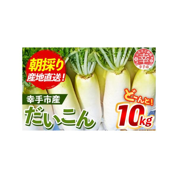 ■ 容量　幸手市産大根（Ｍ〜３Ｌサイズ）１箱分（約10kg）　入数目安（Ｍ：１２本　Ｌ：１０本　２Ｌ：８本　３Ｌ：６本）　※収穫量により、サイズ・本数が変動する場合がございます。予めご了承ください。■ 配送について　4〜5月、11月〜1月　...