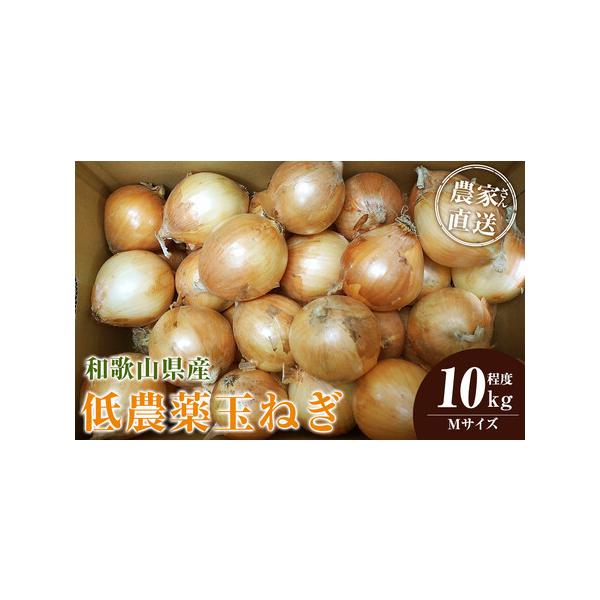 ■ 容量　玉ねぎ Mサイズ 10kg程度　※発送時期により内容が異なります。種類はお選びいただけません。　【【賞味期限・保存方法】】　新玉ねぎ（4月中旬〜5月下旬頃）　※お届け後、冷蔵庫にて1週間程度（※新玉ねぎは水分量が多いので出来るだけ...
