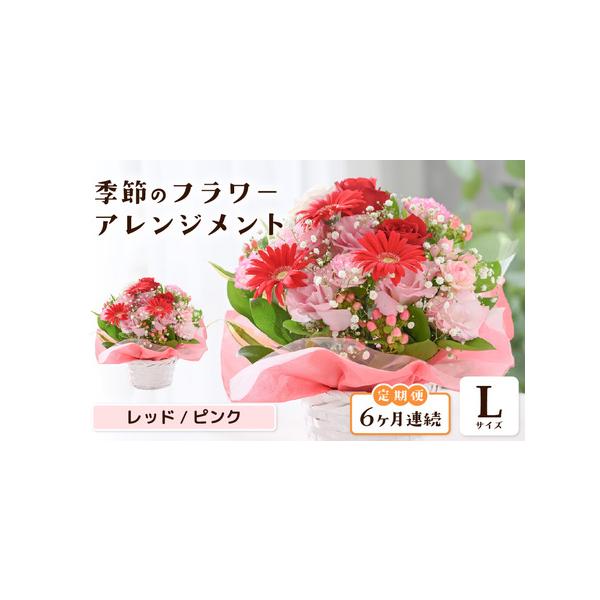 ふるさと納税で楽しむ季節の花6ヶ月定期便Lサイズ