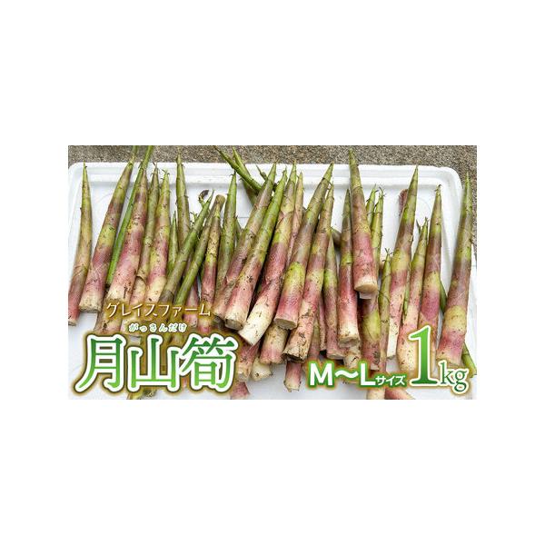 ■ 容量　月山筍　M〜Lサイズ　1kg（25本前後）　※サイズ・本数のご指定は出来ません。　　【産地名】鶴岡市関谷産　　【提供事業者】グレイスファーム　　【賞味期限】収穫後4日以内　　■ 配送について　【申込期日】　令和8年5月15日までご...