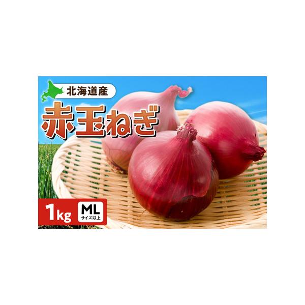■ 容量　■内容　玉ねぎ 1kg　　■原材料　玉ねぎ　　■賞味期限 　約2週間　　■保存方法　低温 または 常温　　■注意事項　※低温で通気性の良い所で保管してください。　　■関連キーワード：北海道産 赤玉ねぎ MLサイズ 1kg 野菜 玉...