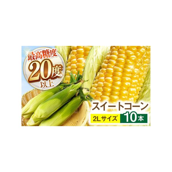 ■ 容量　内容量：10本（1本あたり約200〜300g）　品種：ゴールドラッシュネオ　規格：2Lサイズ　【加工地】　長崎県南島原市　■ 配送について　6月〜7月中旬　タイプ：【冷蔵】