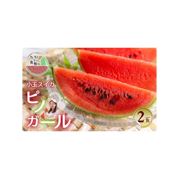 ■ 容量　【豊橋産】小玉スイカ「ピノガール」 2玉■ 配送について　申込期日：5月下旬　※お申込み期日内にご入金をお願いいたします。　※お申込みの状況により、受付締切日を早めさせていただく場合もございますが、ご了承ください。　　発送期日：お...