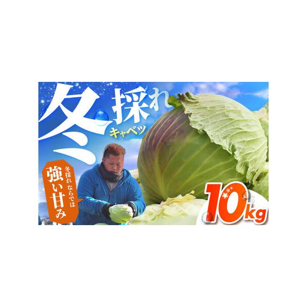 ■ 容量　■内容量　キャベツ 10kg■ 配送について　2026年1月中旬以降順次発送いたします。　※生育状況により前後する可能性がございます。　タイプ：【冷蔵】