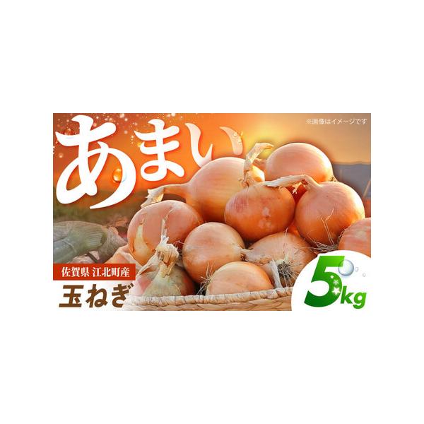 ■ 容量　■内容量　・白玉ねぎ 5kg■ 配送について　2026年4〜6月にかけて順次発送いたします。　タイプ：【常温】