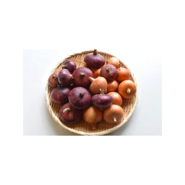 ■ 容量　栗東市内産　旬の野菜　玉ねぎ2.5kg(1種類以上)　種類：玉ねぎ、赤玉ねぎ■ 配送について　2026年6月頃より順次発送　※在庫が無くなり次第終了いたします。　※離島への配送不可　タイプ：【冷蔵】