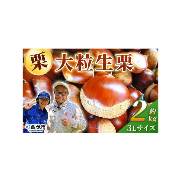 ふるさと納税 ＜栗の王様 銀寄栗（生栗）3L（約2kg）＞ 銀寄 ぎんよせ 甘い 生栗 和栗 マロン 栗 くり 栗ごはん 栗きんとん 甘露煮 旬 国産 産地.. 愛媛県西予市