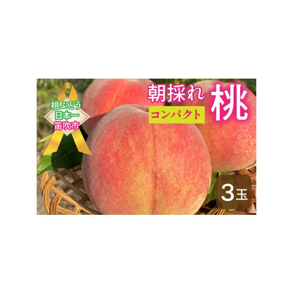 ■ 容量　内容量：桃3玉　消費期限：3日　冷蔵庫にて保管をしてください。　　提供事業者：株式会社Katerial (笛吹桃源)■ 配送について　2026年6月中旬〜8月下旬　※収穫後、準備ができ次第発送予定となります。　※沖縄・離島の配送不...