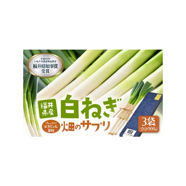 ■ 容量　■内容量等　白ネギ 約300g入 × 3袋　■ 原材料　ネギ（福井県坂井市産）　■ 本品に含まれるアレルギー表示28品目　なし　■ 賞味期限等　発送日より5日以内（冷蔵保存時）　■ 備考　※お受け取り後は冷暗所にて保存してください...