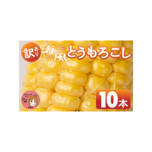 ■ 容量　黄色とうもろこし（訳あり）10本　　賞味期限は発送日から３日間　※生鮮食品のため、お早めにお召し上がりください■ 配送について　■申込期日：7月10日まで　※申込期日以内にご入金手続きを完了してください。　※お申込みの状況により受...