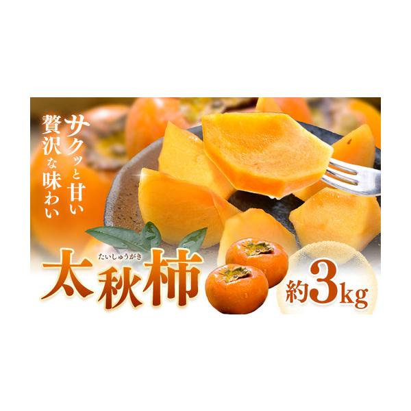 【先行予約】柿 太秋柿 たいしゅうがき 約3kg 日本フルーツ株式会社《2026年9月上旬-10月下旬頃出荷》熊本県 菊池市 秋の味覚 果物.. 熊本県菊池市