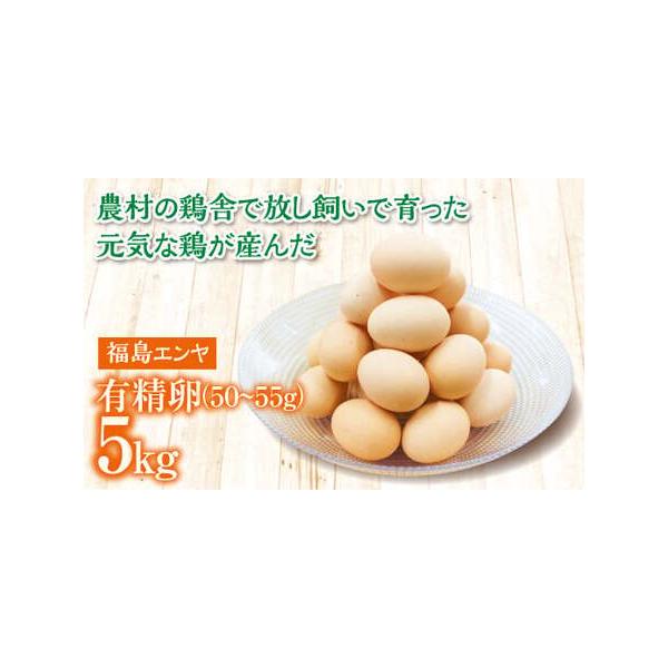 ふるさと納税 玉川村産 有精卵50〜55g 90玉（割れ保証10玉含む） 栄養満点 タマゴ 玉子 エッグ 国産 オムレツ TKG 温泉卵 FT18-221 福島県玉川村