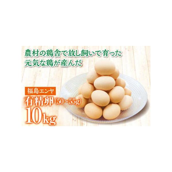 ふるさと納税 玉川村産 有精卵50〜55g 180玉（割れ保証20玉含む） 栄養満点 タマゴ 玉子 エッグ 国産 オムレツ TKG 温泉卵 FT18-222 福島県玉川村