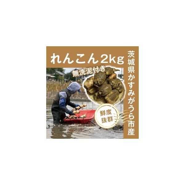 ■ 容量　※上記に記載■ 配送について　〜2026/03/16　タイプ：【冷蔵】