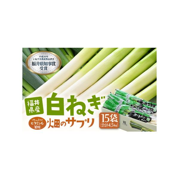 ■ 容量　■内容量等　白ネギ 約300g入 × 15袋　■ 原材料　ネギ（福井県坂井市産）　■ 本品に含まれるアレルギー表示28品目　なし　■ 賞味期限等　発送日より5日以内（冷蔵保存時）　■ 備考　※お受け取り後は冷暗所にて保存してくださ...