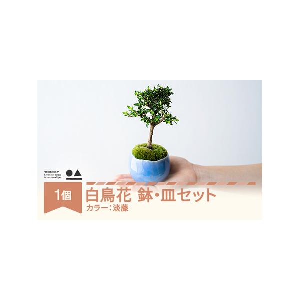 ■ 容量　0.35kg 1個■ 配送について　入金確認後2週間ほどで発送　タイプ：【常温】