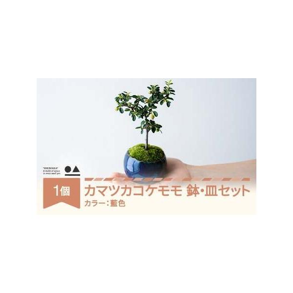 ■ 容量　0.35kg 1個■ 配送について　入金確認後2週間ほどで発送　タイプ：【常温】