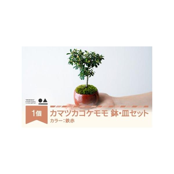 ■ 容量　0.35kg 1個■ 配送について　入金確認後2週間ほどで発送　タイプ：【常温】