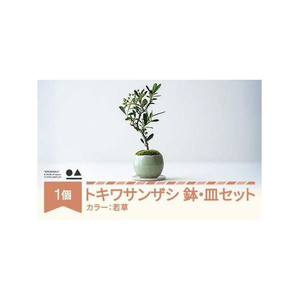 ■ 容量　0.35kg 1個■ 配送について　入金確認後2週間ほどで発送　タイプ：【常温】