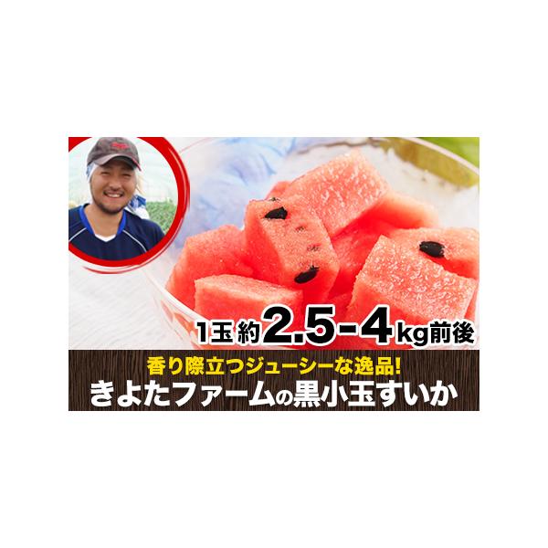 ■ 容量　2玉(1玉約2.5-4kg前後)　※ただし栽培状況によって、記載している1玉あたりのサイズ/重量より　大きいものが届く場合がございます。　ご了承いただきますようお願い申し上げます。■ 配送について　2026年7月上旬-8月中旬頃出...