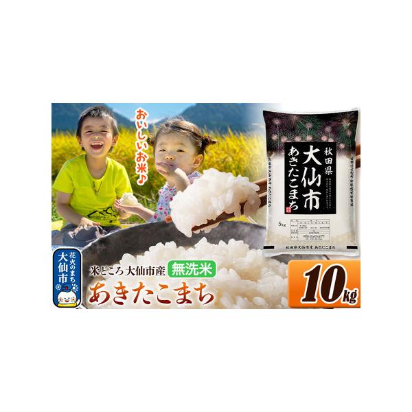 ふるさと納税 米 あきたこまち【無洗米】米どころ秋田県大仙市産 令和7