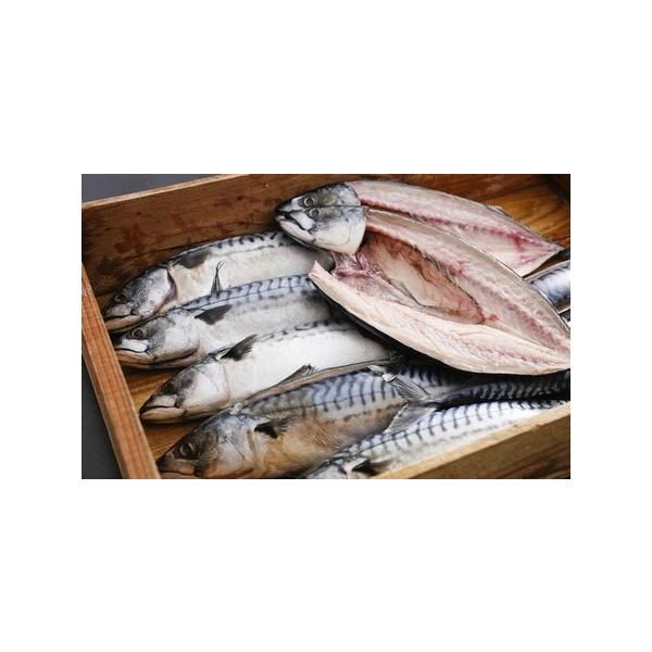 ■ 容量　塩サバ(大)×2本　ノルゥエー産　　タイプ：【冷蔵】
