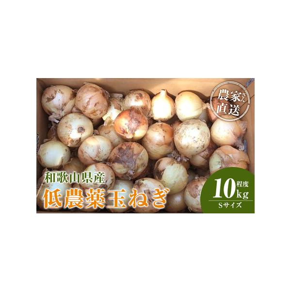 ■ 容量　玉ねぎ Sサイズ 10kg程度　※発送時期により内容が異なります。種類はお選びいただけません。　【【賞味期限・保存方法】】　新玉ねぎ（4月中旬〜5月下旬頃）　※お届け後、冷蔵庫にて1週間程度（※新玉ねぎは水分量が多いので出来るだけ...