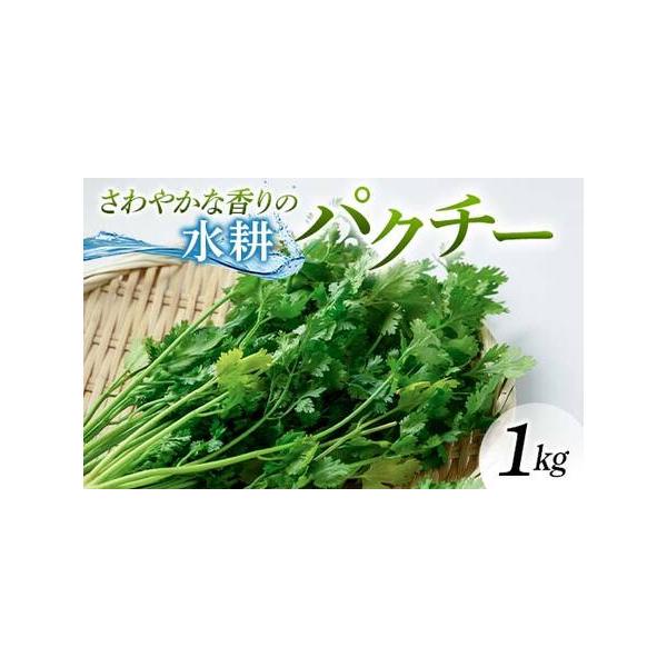 ■ 容量　パクチー 1kg（1kg×1袋）　■ 配送について　通年　タイプ：【冷蔵】
