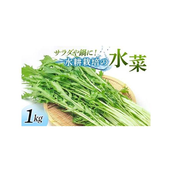 ■ 容量　水菜 1kg（100g×10袋）　■ 配送について　通年　タイプ：【冷蔵】