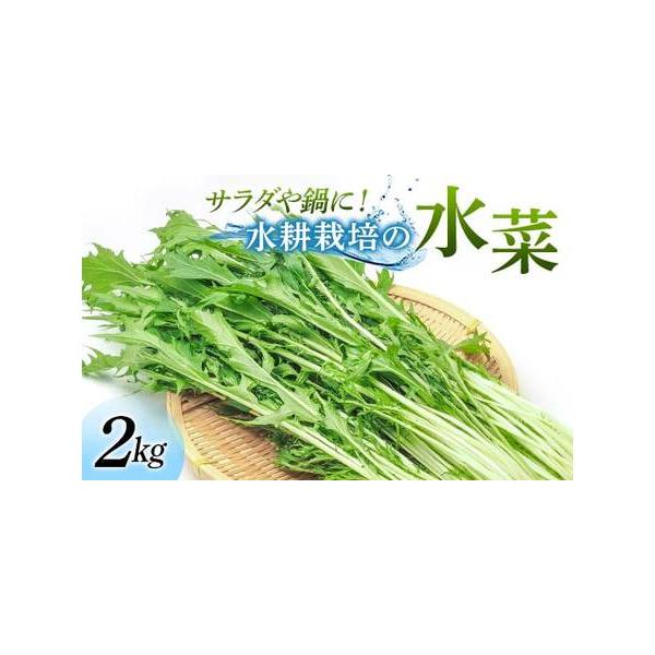 ■ 容量　水菜 2kg（100g×20袋）　■ 配送について　通年　タイプ：【冷蔵】