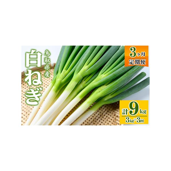 ■ 容量　白ねぎ：計9kg(3kg×3回)　発送可能時期より毎月1回全3回お届けいたします■ 配送について　2025年11月上旬〜2026年4月下旬発送予定　※配送日の指定は出来かねますので、ご了承くださいませ。　※お申込みが集中した場合や...