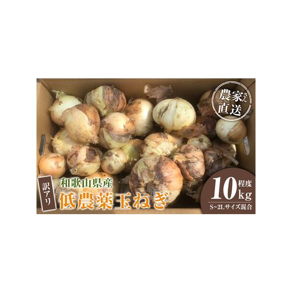 ■ 容量　玉ねぎSサイズから2Lサイズ混合品。 10kg程度　※収穫中に皮が剥けて傷がついたものや、レモンのような細長く小さい形や規格外の大きなもの等。　※発送時期により内容が異なります。種類はお選びいただけません。　【【賞味期限・保存方法...